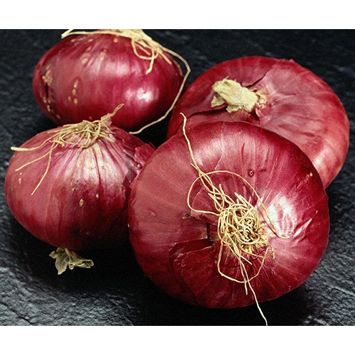 Fresh Red Onion - Preserving Compound: As Per Industry