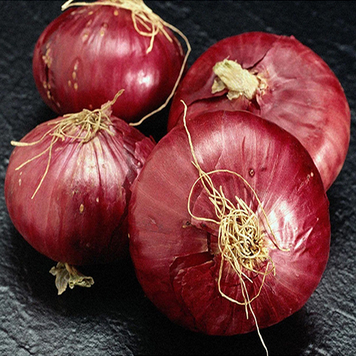 Fresh Red Onion - Preserving Compound: As Per Industry