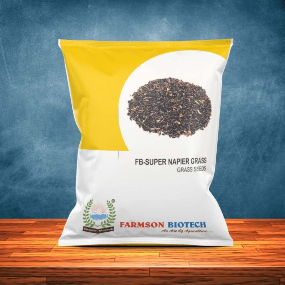 GRASS SEEDS -Super napier