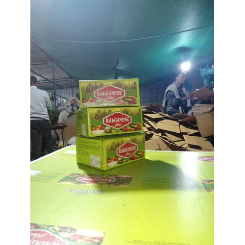 Printed Corrugated Box