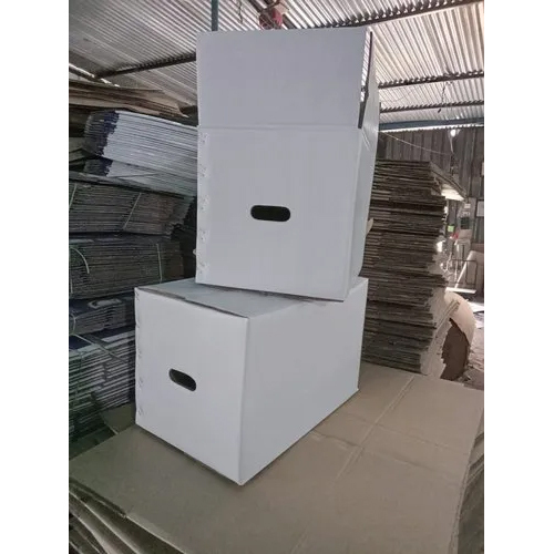 Corrugated Export Box In Indore