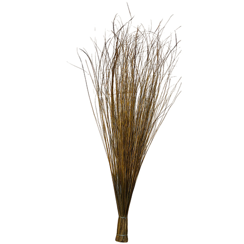 Palm Stick Broom - Color: Brown