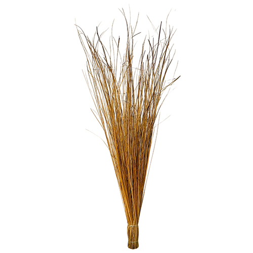 Coconut Stick Broom