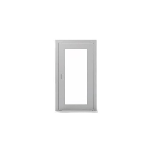 Glass Panel Metallic Swing Door