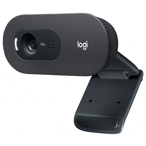 Logitech Webcam C505e