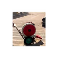 Diesel Mini Walk Behind Road Cleaner - Automatic Grade: Automatic