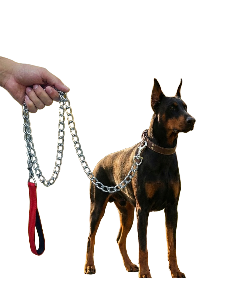 Dog Chain With Pp Padded Handle - Color: Ss