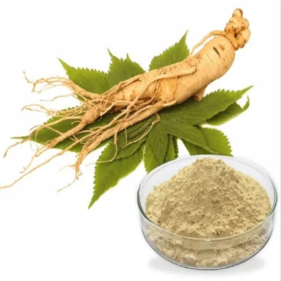 American Ginseng Extract ( Panax quinquefolius)