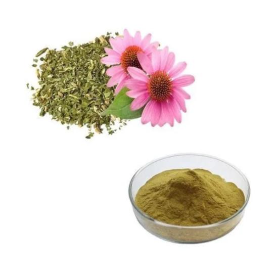 Echinacea Extract (echinacea Purpurea) - Grade: Pharma & Food Grade