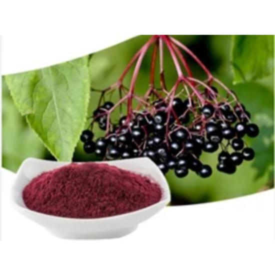 Elderberry Extract (sambucus Nigra) - Grade: Pharma & Food Grade