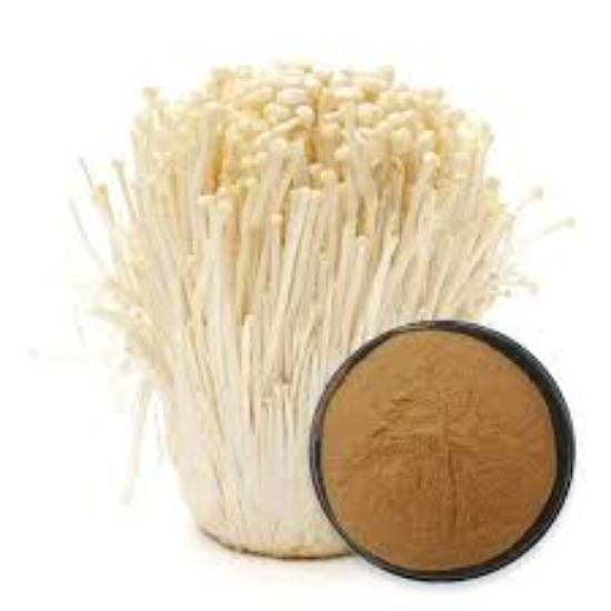 Enoki mushroom Extract (Flammulina velutipes)