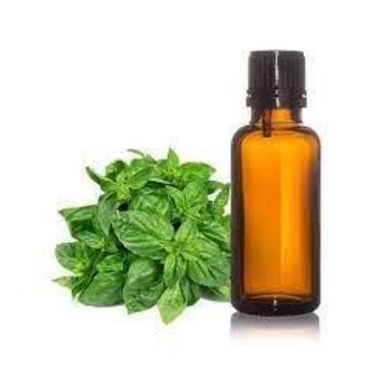 Basil Oil (ocimum Basilicum Oil) - Pure Essential Oil Rich In Linalool & Methyl Chavicol | Beneficial For Various Ailments, Natural Remedy