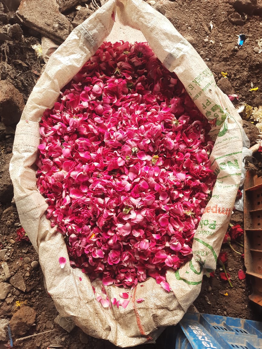 गुलाब जल