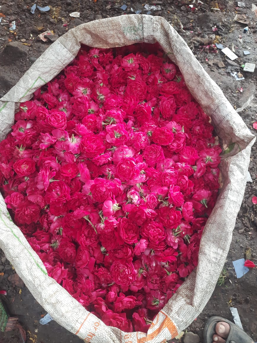 Rose Water - Additives: No