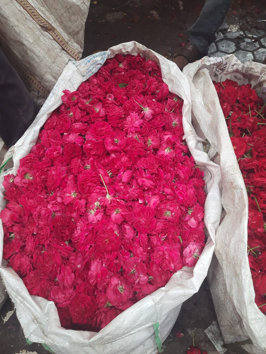 Rose Water - Additives: No