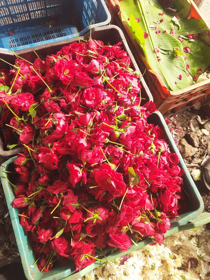 Rose Water - Additives: No