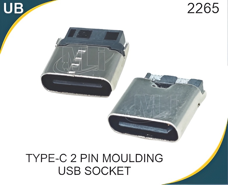 Type C 2 Pin Moulding Usb Socket