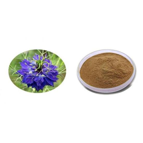 Black Seed Extract (Nigella Sativa Extract)