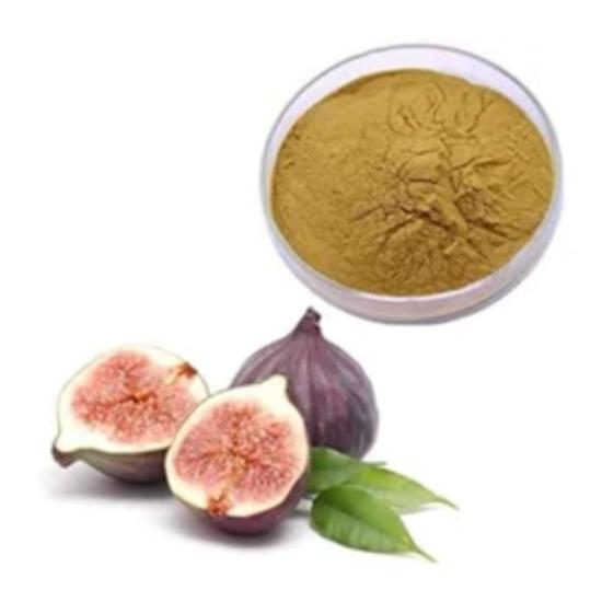 Fig Extract (Ficus carica L.)