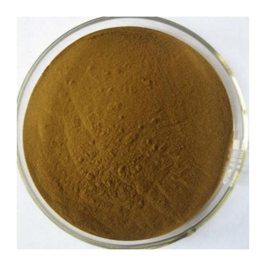 Brown Giant Knotweed Extract (Reynoutria sachalinensis)