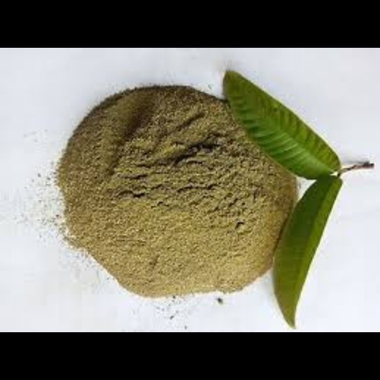 Guava Extract ( Psidium guajava Extract )