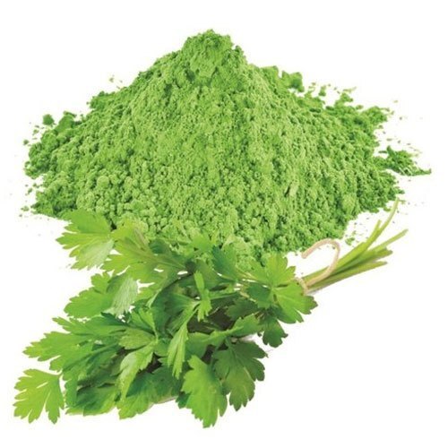 GREEN CORIANDER LEAF POWDER