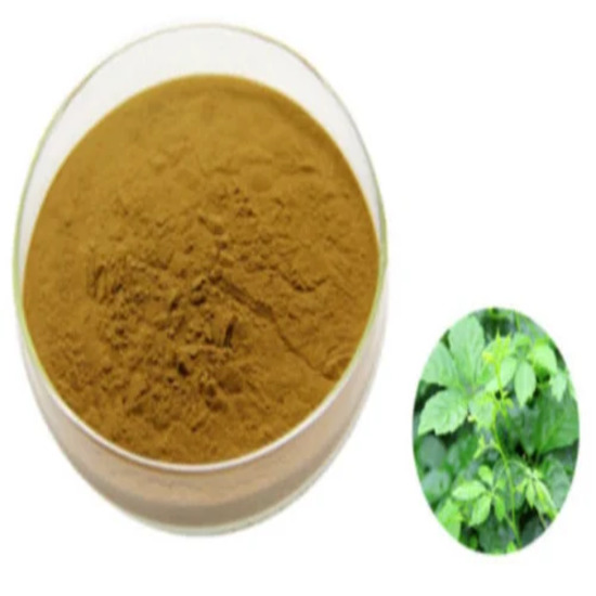 Gynostemma Extract ( Gynostemma pentaphyllum Extract )