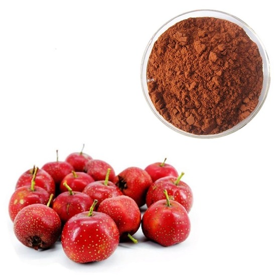 Hawthorn Berry Extract ( Crataegus Oxyacantha Extract ) 