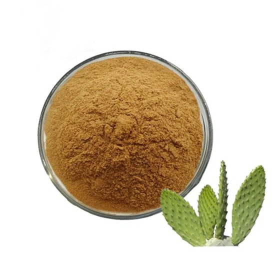 Hoodia Gordonii Extract