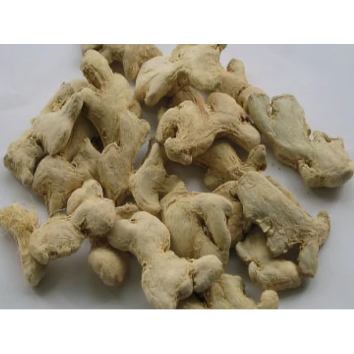 Zingiber Officinale