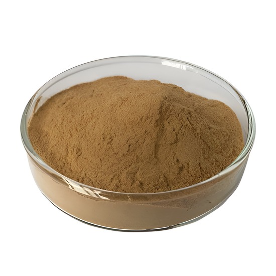 Huperzia Serrata Extract