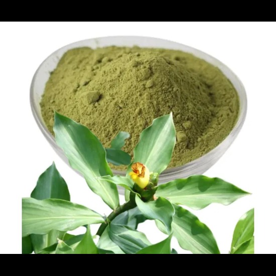 Insulin Plant Extract (Costus igneus) 