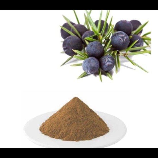 Juniper Berry Extract ( Juniperus communis Extract ) 