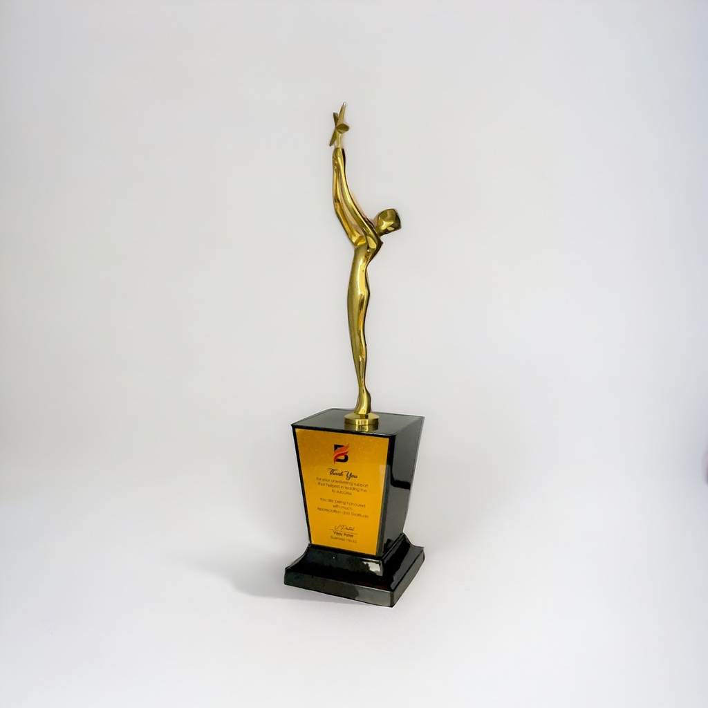 Modern Look Wood and Metal Awards