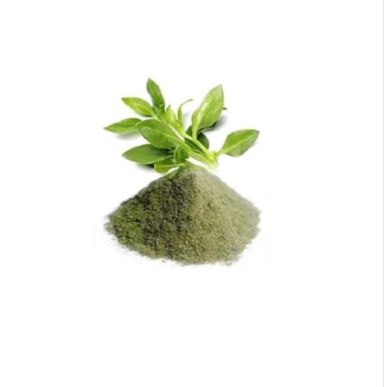 Kalmegh Powder ( Andrographis Paniculata Powder) - Grade: Pharma & Food Grade