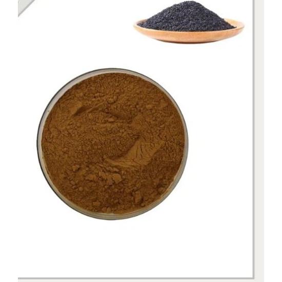 Kala Til Extract (guizojia Abyssynica Extract) - Customizable Herb Ratio, Active % Assay | Suitable For Food, Pharma, Cosmetic Applications