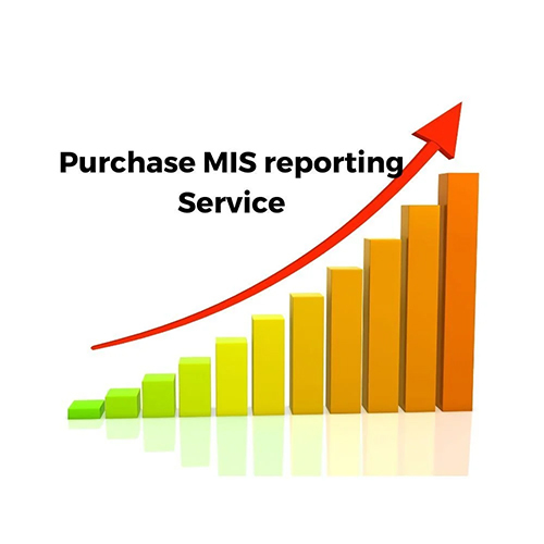 MIS Reporting Services