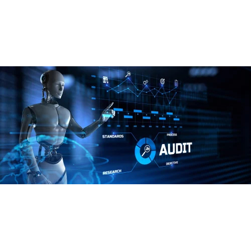 Automation Audit Services