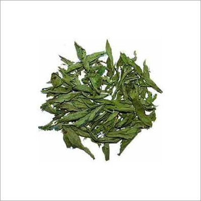 Stevia Leaves - Dried Green Leaves, 99% Purity | Natural Sweetener, Low Calorie, Eco-Friendly for Diabetes and Muscle Strength Support