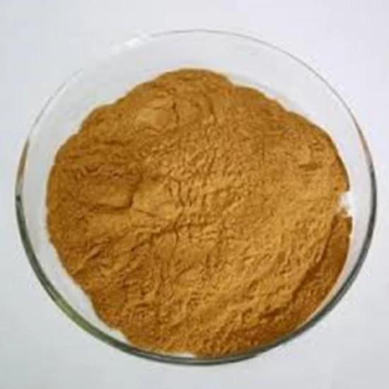 Kantkari Extract ( Solanum Xanthocarpum Extract )