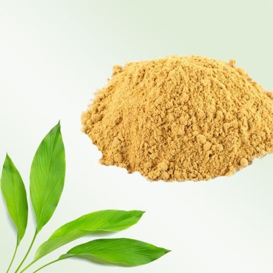 Kasturi Manjal Extract (Curcuma aromatica)