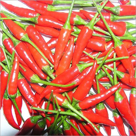 ताज़ी लाल मिर्च