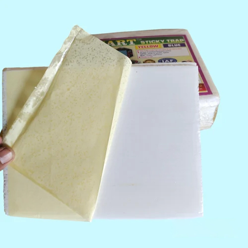 White Sticky Trap