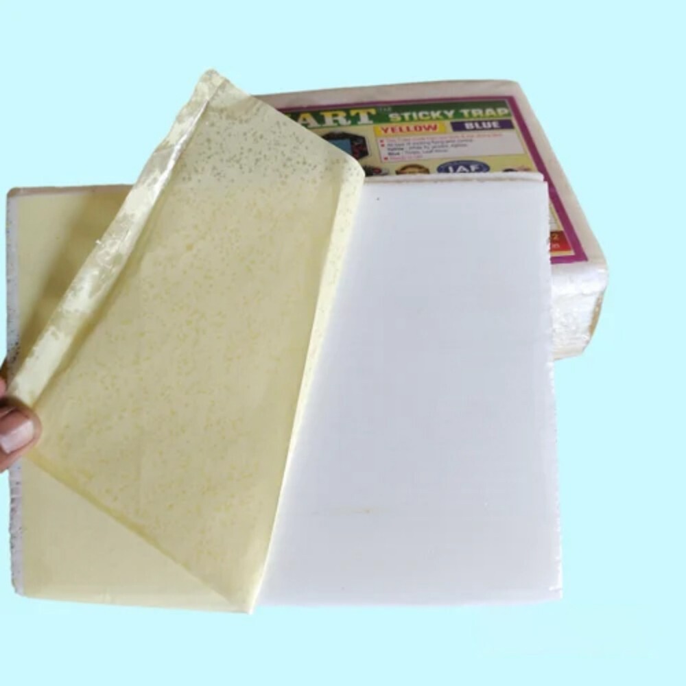 White Sticky Trap - Material: Plastic