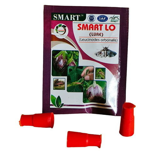 Smart L.O. Lure