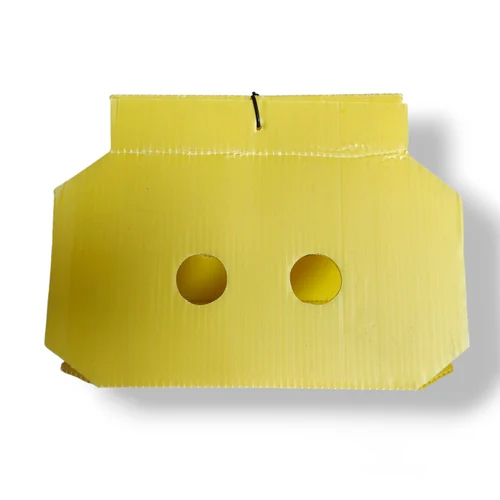 Delta Insect Trap