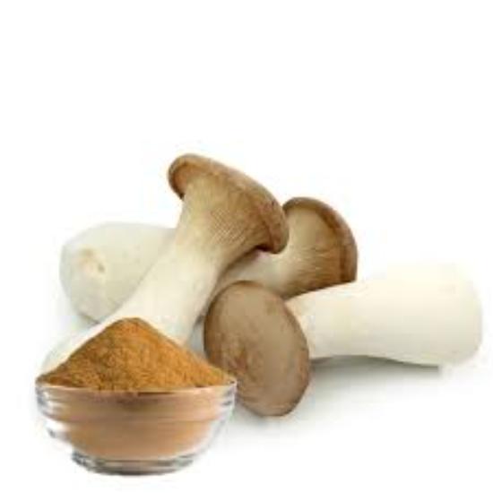   King Trumpet Mushroom Extract (Pleurotus Eryngii ) 