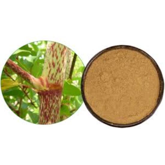 Knotweed Extract (Polygonum Aviculare) 