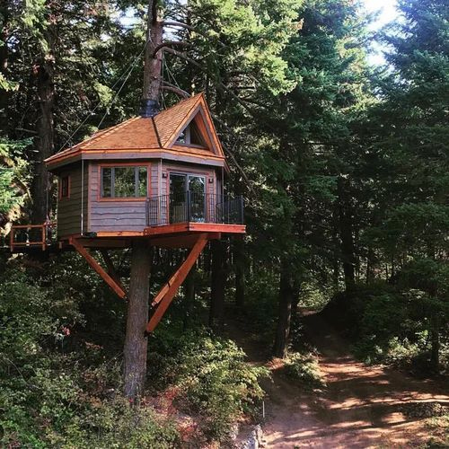 Polished Brown Wooden Modular Tree House