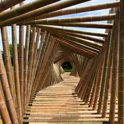 Forest Bamboo Arches